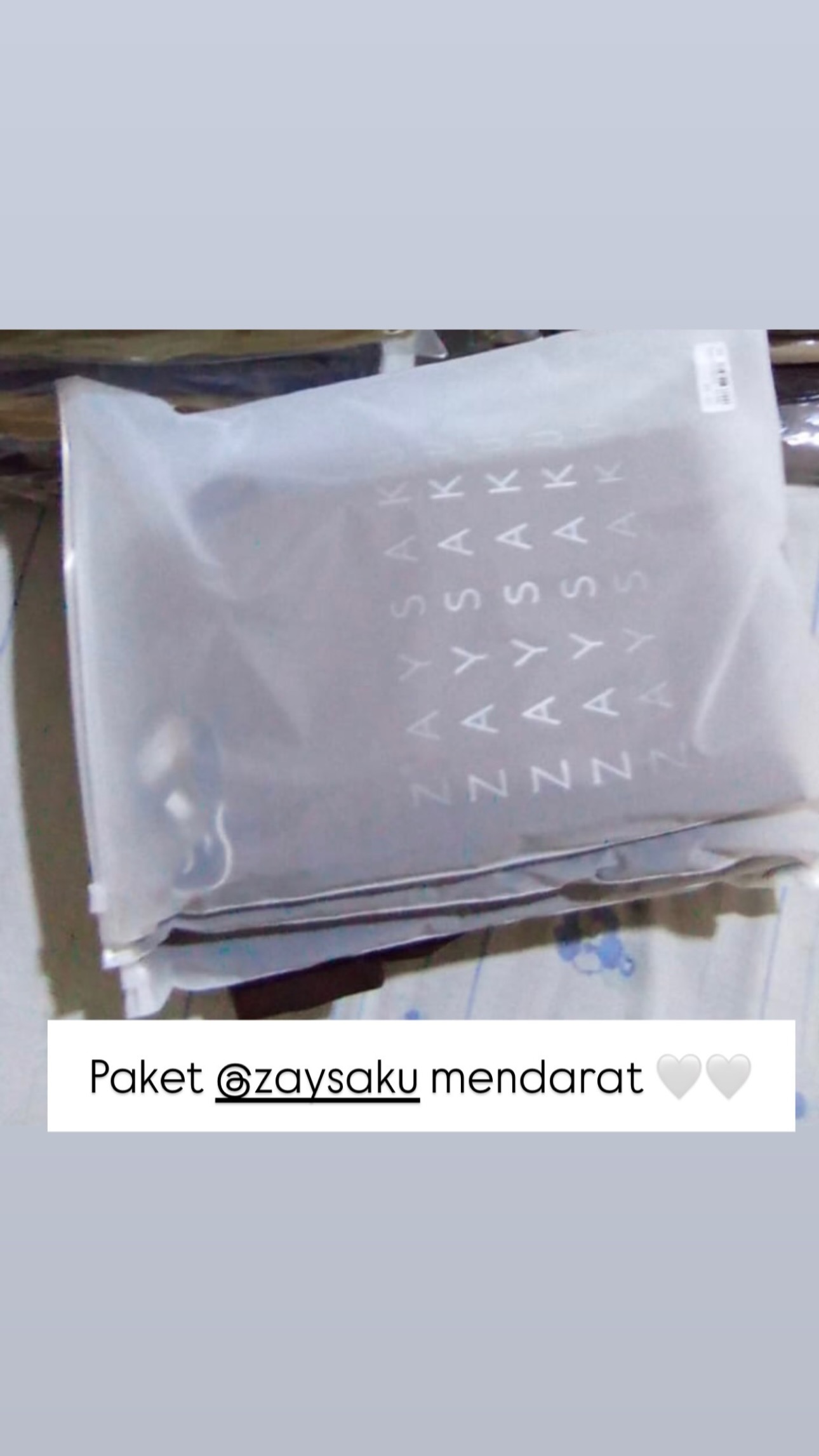zaysaku_1736380782_highlight17991089726751101