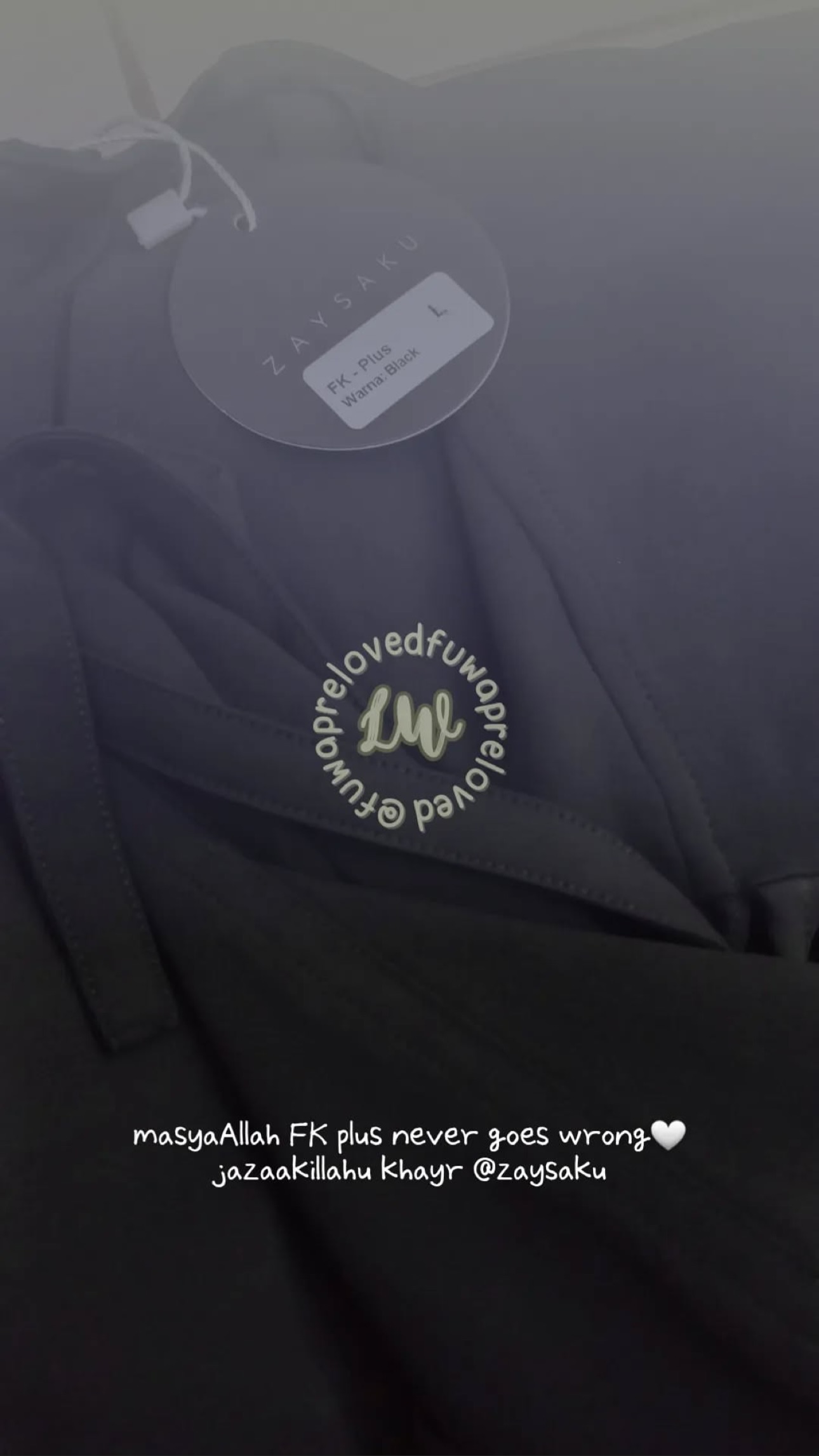 zaysaku_1736494537_highlight17991089726751101