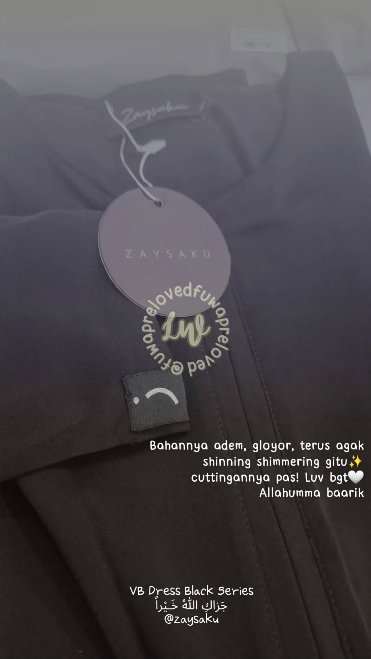 zaysaku_1736747540_highlight17991089726751101