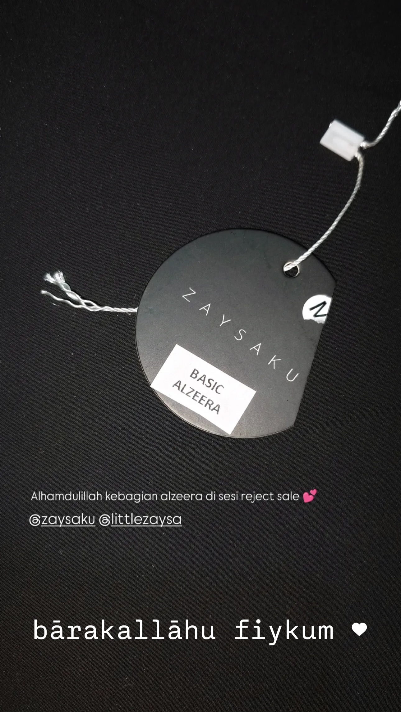 zaysaku_1741982353_highlight17991089726751101
