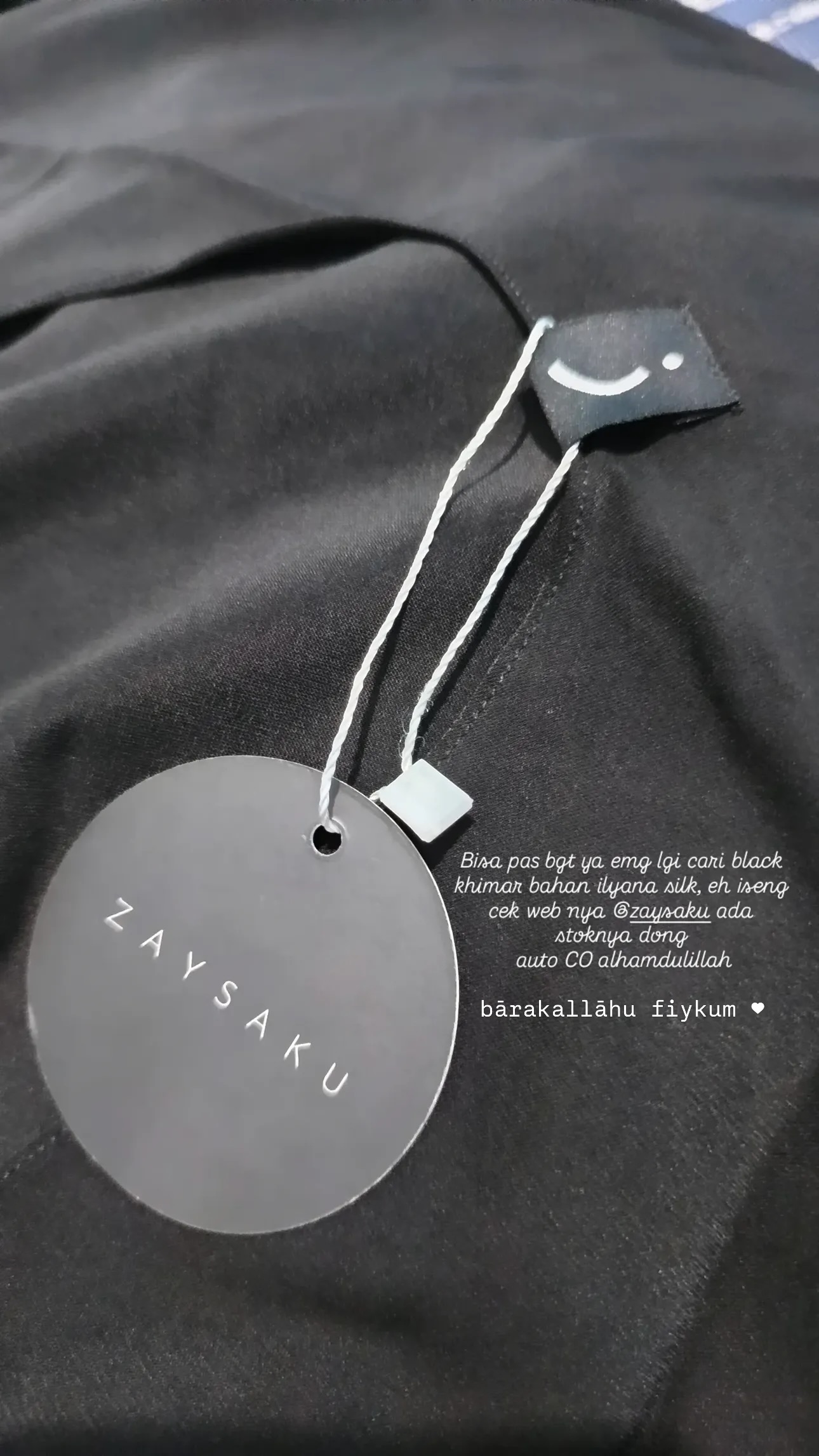 zaysaku_1742288963_highlight17991089726751101