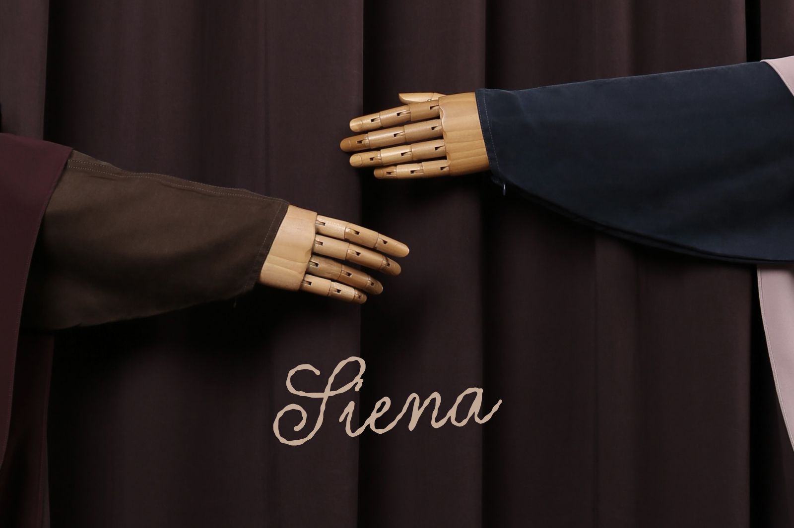 siena-zaysaku
